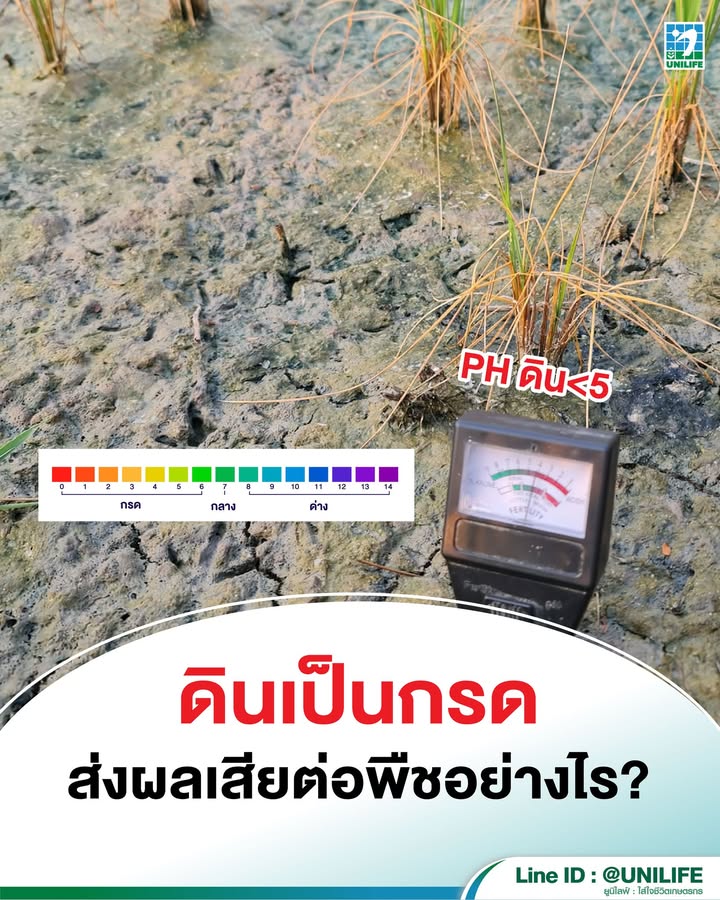 20251030 1169229950335851233599518803231