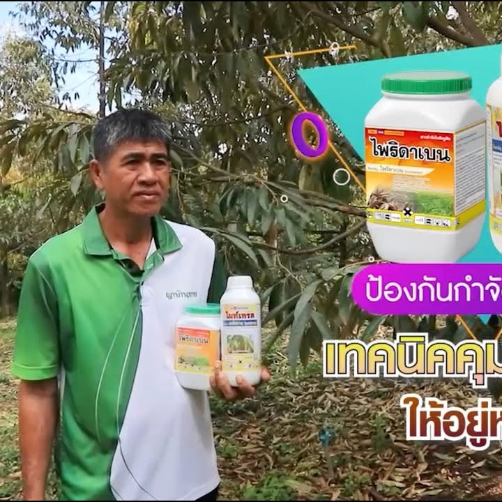 20260122 1169229950335851298541808975668