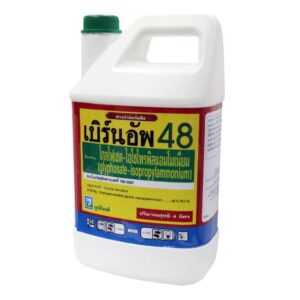 เบิร์นอัพ 48 (4 ลิตร)