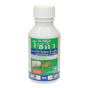 โซคิว (500 ซีซี) ขวด pet